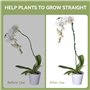 SHUOHONG 20 Pièces Tuteur pour Plante Tuteur Tomate, 30 Pièces Clips de Support pour Plantes, Treillis Plante Grimpante Exterieu
