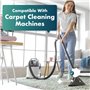 Dirtbusters Nettoyant Désodorisant Concentré 4 en 1 pour Tapis/Tissu, Protège et Neutralise les Odeurs - Shampoing des Machines 