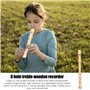 Flûte à bec en bois : flûte à bec soprano, flûte à bec en bois avec doigté allemand et kit de nettoyage, flûte à bec en érable p
