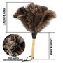 Nizirioo Plumeau d'autruche 34 cm Plumeau avec Manche en Bois pour Chambre Salon Bibliothèque