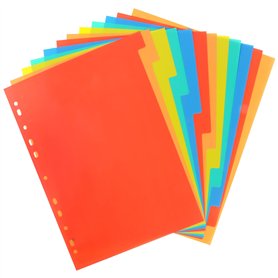 Lot de 12 Intercalaires pour Classeurs A4
