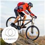 2pcs 2M kit de réparation universel câble d'accélérateur câble de changement de vitesse câble d'embrayage vélo scooter cyclomote