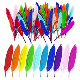 GTYHH 100 Pièces De Plumes Colorées