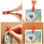 Tiardey 50 pcs Couleur en Bois Clips Punaises, Pinces en Bois avec Punaises pour Tableaux en Liège Carte Notes Photos Mur dans B