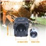 Mtanlo Cylindre Piston Set 41,1 mm pour Partner 350 33 350 351 352 370 371 382 390 391 401 pour Husqvarna 137,avec Bougie d'Allu