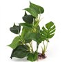 Jzhen Plante d'aquarium Artificielle de 20 cm