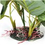 DéCoration Accueil Doux Plantes