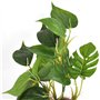 Jzhen Plante d'aquarium Artificielle de 20 cm, DéCoration Accueil Doux Plantes