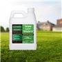 Adoucisseur de sol à aération liquide – Adoucisseur de sol – Pas d'aération mécanique ou centrale – Solutions simples de pelouse