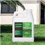 Adoucisseur de sol à aération liquide – Adoucisseur de sol – Pas d'aération mécanique ou centrale – Solutions simples de pelouse