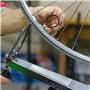 Lixiluxia 4Pcs Outil de Clé à Rayon, Clé de Roue de Vélo Universelle, Clef à Rayon Velo en Acier, Roue à Rayons de Vélo à 8 Way,