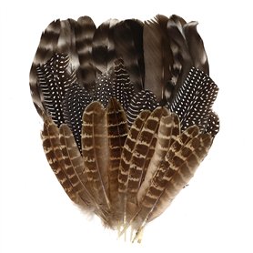 Lot de 30 Plumes Naturelles De Dinde