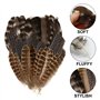 3 Styles De Plumes Naturelles M