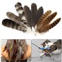 Lot de 30 Plumes Naturelles De Dinde, Plumes Artisanales, Plumes De Faisan pour Travaux Manuels, 3 Styles De Plumes Naturelles M