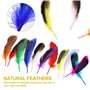 Plumes Moelleuses De Couleurs MéL