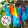 DNDGDLUA Lot de 50 Plumes ColoréEs, Plumes Artisanales, Plumes Naturelles, Plumes Artisanales, Plumes Moelleuses De Couleurs MéL