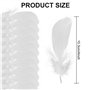Plumes Pour Travaux Manuels