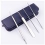 Fousenuk 10 pièces Tire Comedon Point Noir pour Peau, Extracteur Point Noir Set avec Boîte Tire Comedons en Acier Inoxydable, Bl