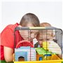Jouet pour Hamster Pont Arc-en-Ciel