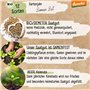 Lot de 12 variétés de graines de légumes déméter pour toute l'année | Graines de légumes rares et anciennes toutes résistantes a