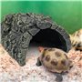 Tortue