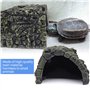 Tortues
