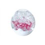 my-gschenk Presse-Papier Boule de rêve Medium : Motif Fleur Blanche avec Rose sur Fond Blanc