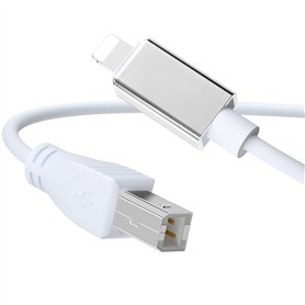 kinoco Câble USB Type-B vers MIDI 1