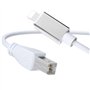 kinoco Câble USB Type-B vers MIDI 1