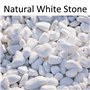 Gexmile Cailloux Blancs Naturel Gravier Décoratif Pierres de Roche de Rivière pour Pot Fleurs Jardin Vase Aquarium Diamètre 3-6m