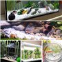 Gexmile Cailloux Blancs Naturel Gravier Décoratif Pierres de Roche de Rivière pour Pot Fleurs Jardin Vase Aquarium Diamètre 3-6m