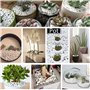 Gexmile Cailloux Blancs Naturel Gravier Décoratif Pierres de Roche de Rivière pour Pot Fleurs Jardin Vase Aquarium Diamètre 3-6m
