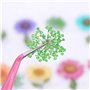 Fleur Séchée pour Ongles 3 boîtes 36 Couleurs Nail Applique 72 pièces 3D Nail Art Fournitures Applique pour Bricolage Nail Art d