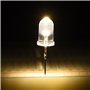 100 Pièces Diodes Électroluminescentes Diode Led 10 Couleurs 5 mm