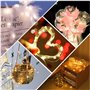 ZWOOS Guirlande Lumineuse à Piles, 1M 10 LED Mini Guirlande LED Fil de Cuivre Fairy Lights Girlande Lumière, pour Décoration Noë
