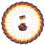 100 Pcs Allemagne Cure-dents Drapeaux
