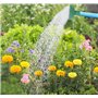 WANGCL Arrosoir universel avec tête de rosace - Convient pour tous les arrosoirs de jardin