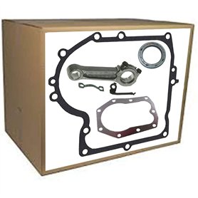 Bielle pour moteur Briggs & Stratton 286707 28D707 28M707 et culasse - Joint carter moteur Simmering