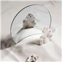 Lot de 5 accessoires de photographie en acrylique - Réflecteur - Pour bijoux et cosmétiques