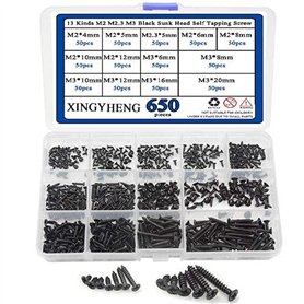 BGTXINGI Assortiment de 650 vis autotaraudeuses à tête bombée M2 M2.3 M3 13 types de vis autotaraudeuses à tête bombée noire en
