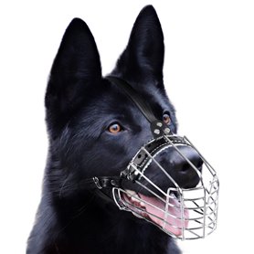 PetriStor Muselière pour Chien en métal chromé avec Panier métallique et Sangles en Cuir renforcées
