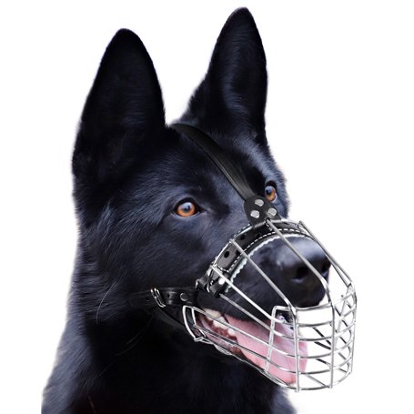 PetriStor Muselière pour Chien en métal chromé avec Panier métallique et Sangles en Cuir renforcées