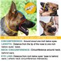 PetriStor Muselière pour Chien en métal chromé avec Panier métallique et Sangles en Cuir renforcées