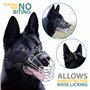 PetriStor Muselière pour Chien en métal chromé avec Panier métallique et Sangles en Cuir renforcées