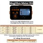 VC60B LCD MegOhm Mètre, Testeur de résistance d'isolement numérique mégohmmètre 200MΩ / 2GΩ avec fils de test et clips de test