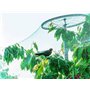 Filet Protection Oiseaux 4x10M