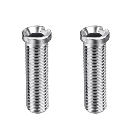 Lot de 2 vis pour panier d'évier