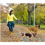 UQMIQURA Laisse Double pour 2 Chiens Peut Être Tourné et Étendu à 360°, Laisse pour Chien Double Chien, pour Promener Deux Chien
