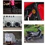 Xbessc 12 Pièces Catadioptre Rond Plastique Catadioptres Jaune Blanc Rouge Réflecteur avec Vis Écrous Réflecteur pour Velo Moto 