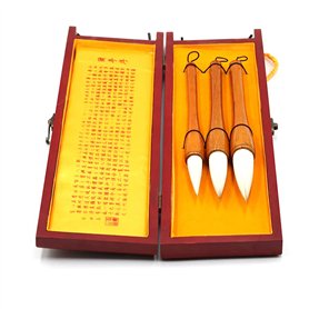 CENPEK Lot de 3 pinceaux de Calligraphie Chinoise pour l'écriture